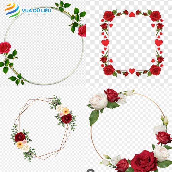 khung hoa hồng vector