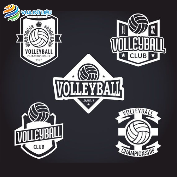 30+ Logo Bóng Chuyền Vector Độ Phân Giải Cao Mẫu thiết kế logo bóng chuyền